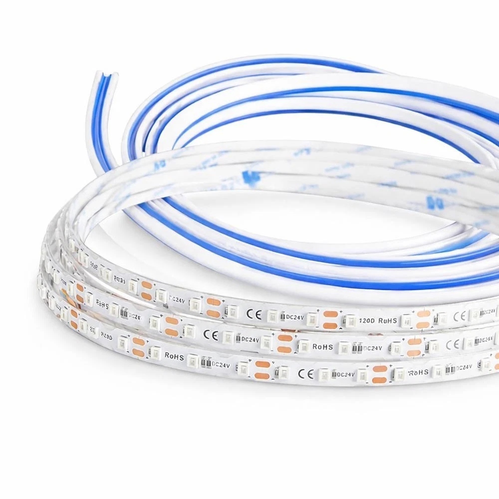 Home striscia 10 mt blu 1